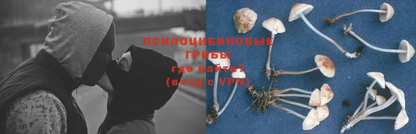 ГАЛЛЮЦИНОГЕННЫЕ ГРИБЫ Алексин